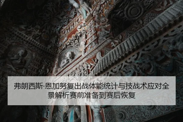弗朗西斯·恩加努复出战体能统计与技战术应对全景解析赛前准备到赛后恢复